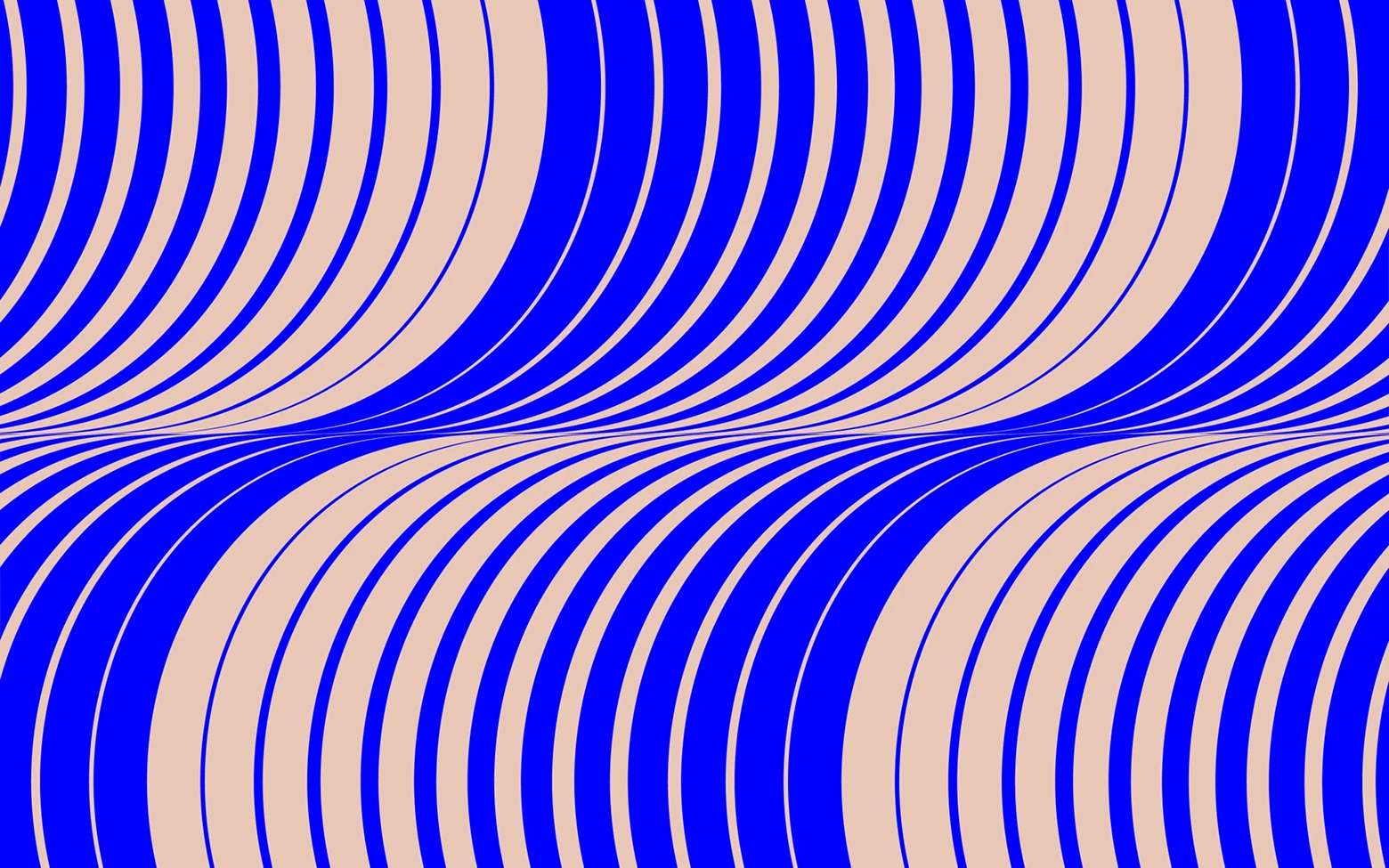 Webflow vs Framer vs WordPress for Your Business Website