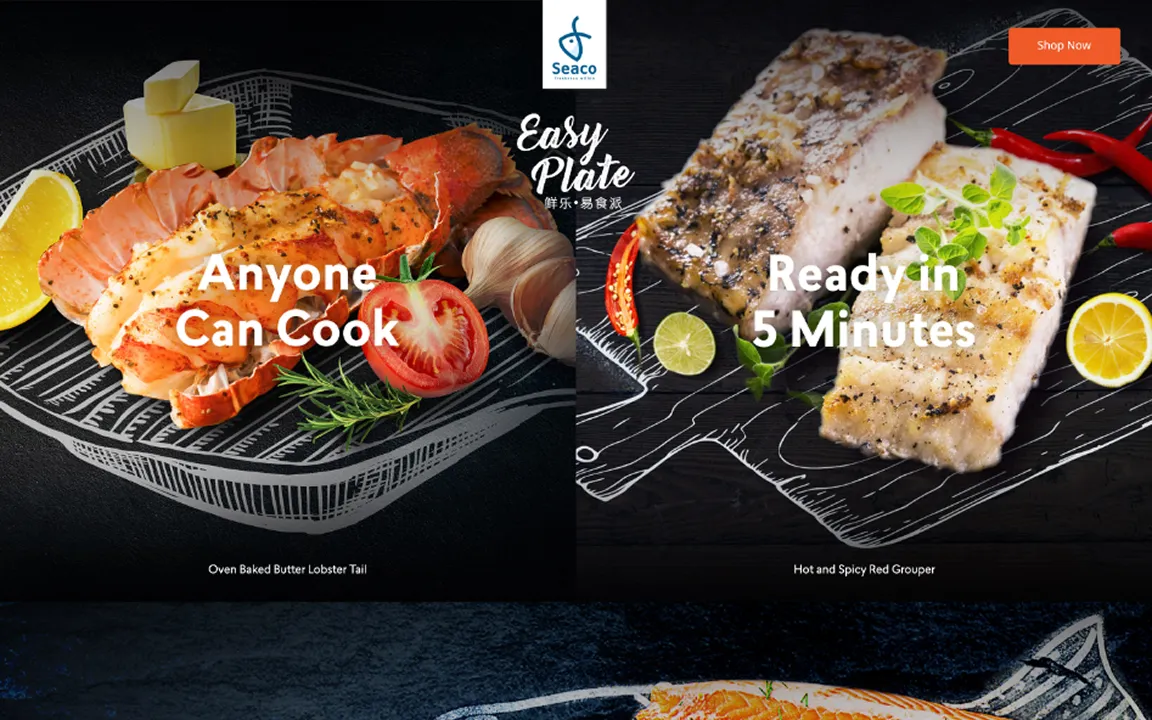 Seaco WordPress website